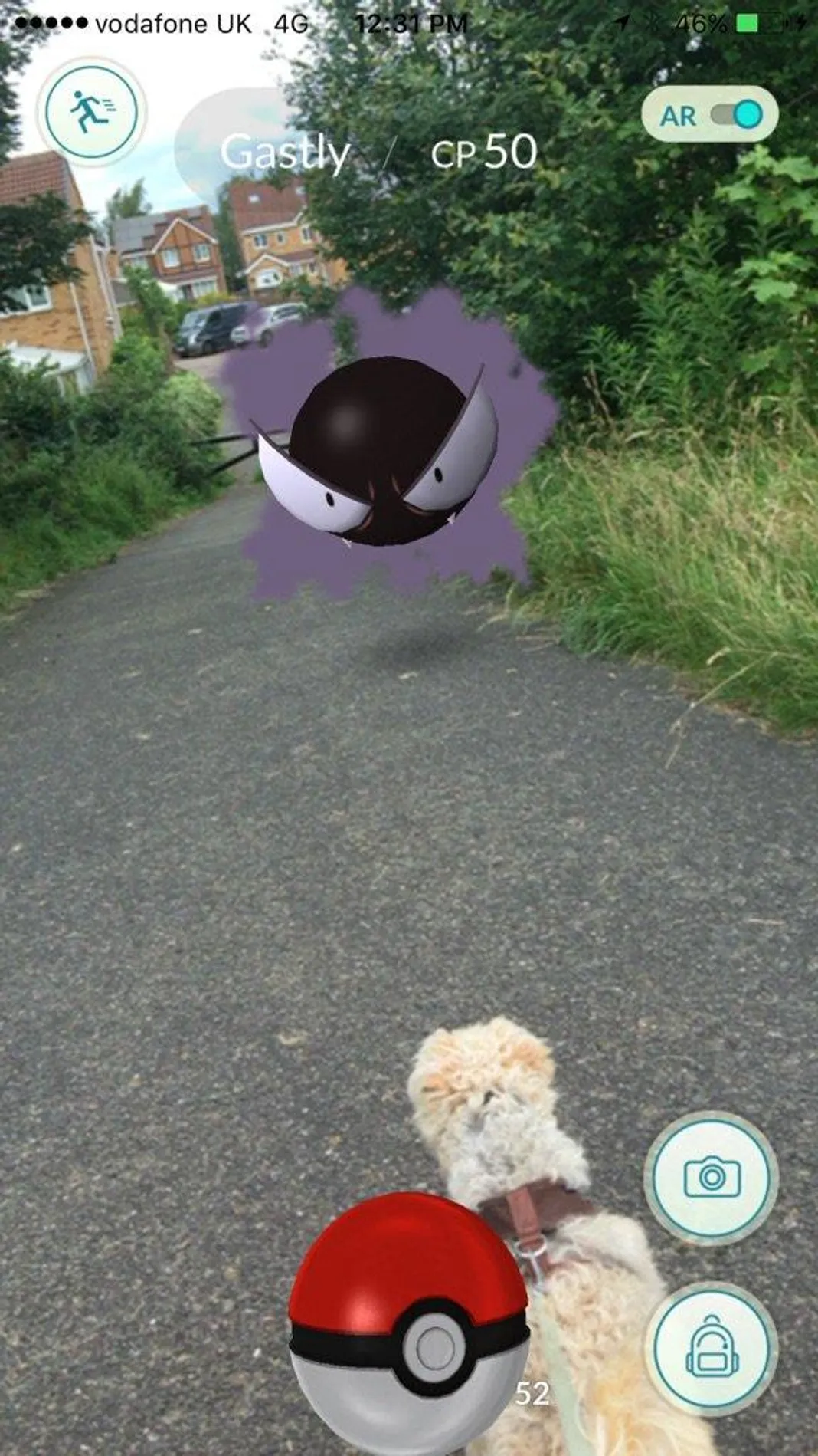 pokemon-dog2