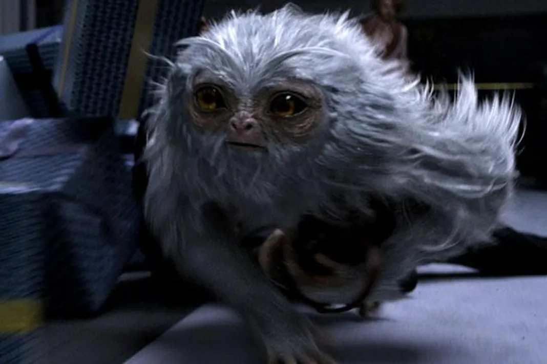 Fantastic-Beasts-Warner-Bros-111616