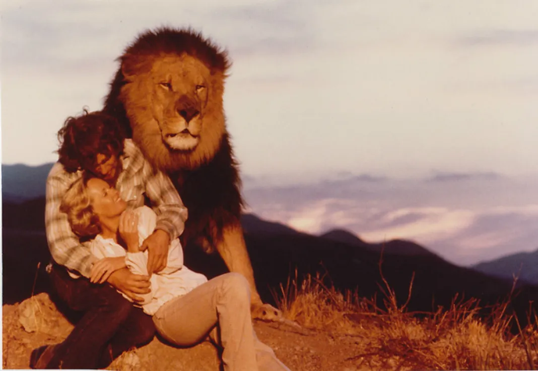 <em>Roar</em>