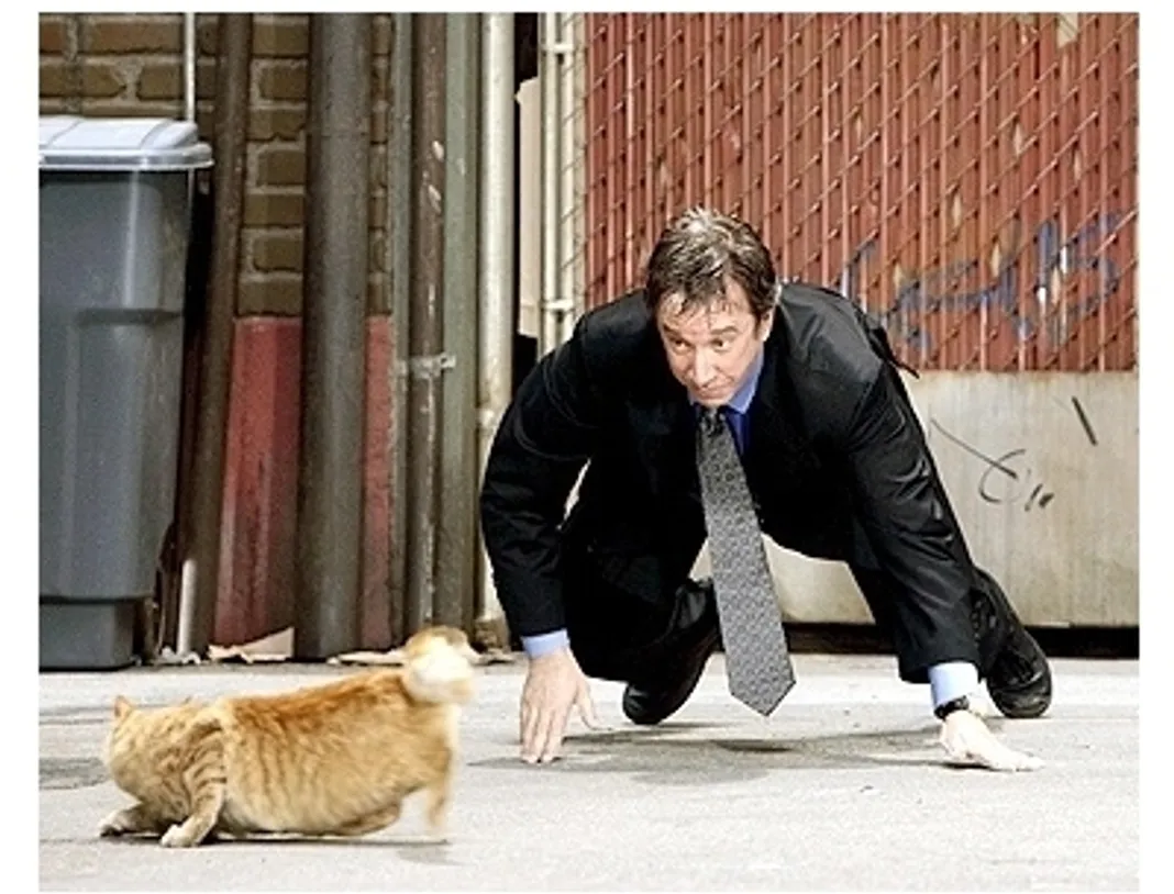 The Shaggy Dog Movie Stills