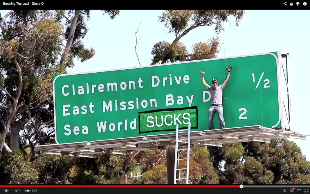 Steve O Facing Police Probe Over Seaworld Sign Prank